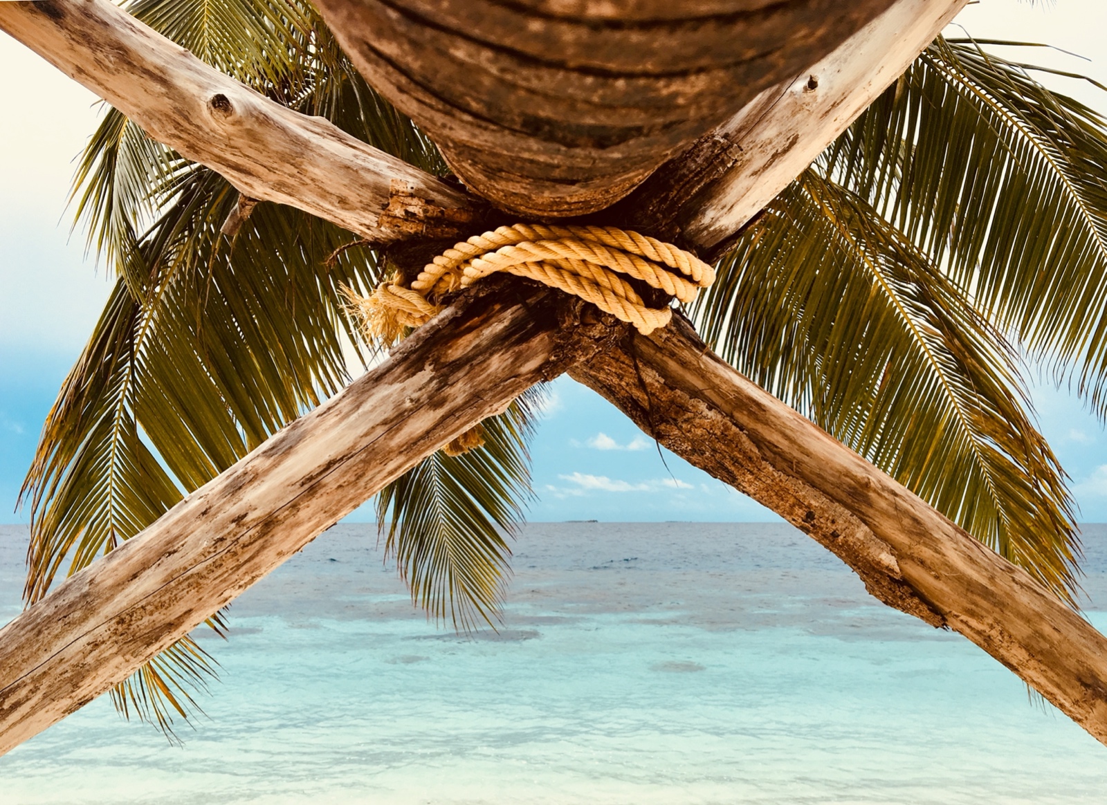 21C44D62 FAB8 40F7 A247 B7F3B8371E1F 1 201 a