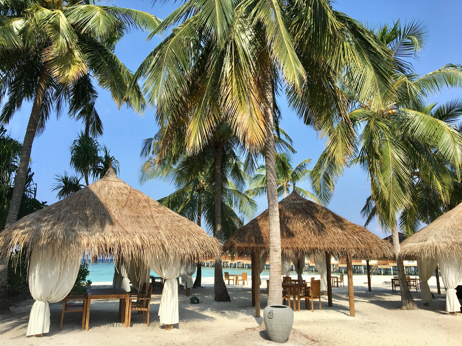 2A267934 09A2 4E6C A5A9 BE7DB1B924D8 1 201 a