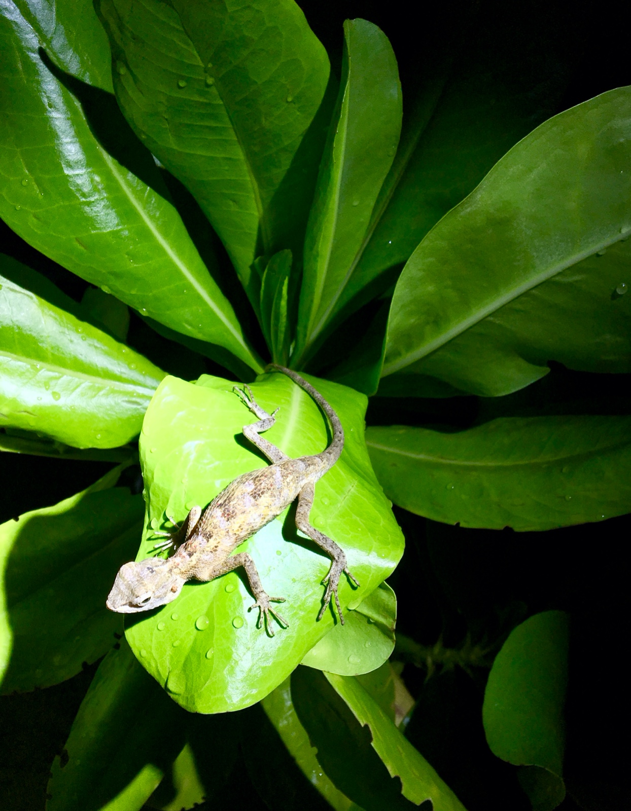 41D30014 A59F 4DB9 BF9C 3D9AB8A797D6 1 201 a