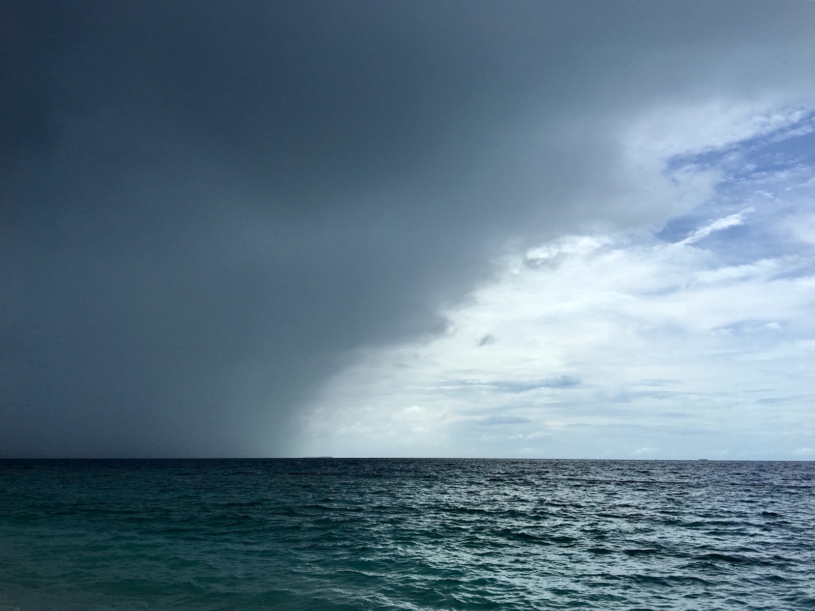 43105AD8 CB44 4190 BC21 18560C0B6843 1 201 a