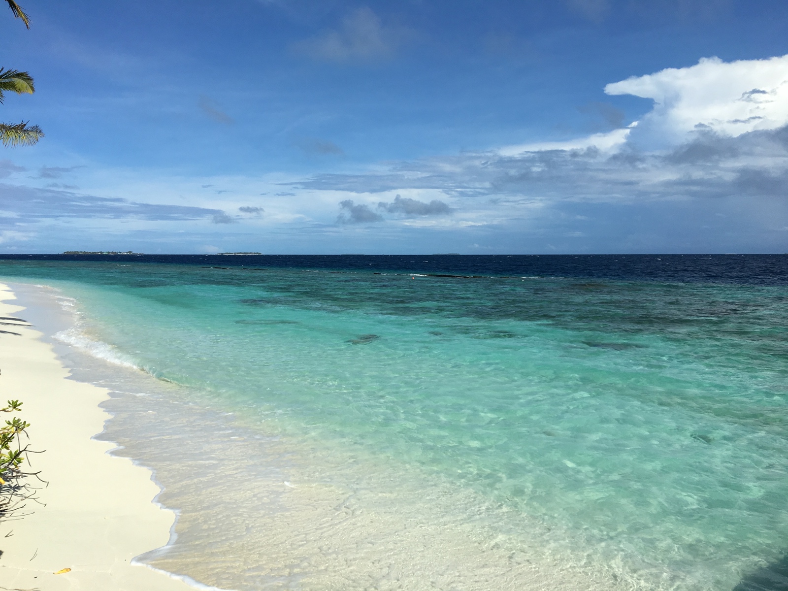 7797A7AC E9AD 4F9B A136 4D77E4CE4D74