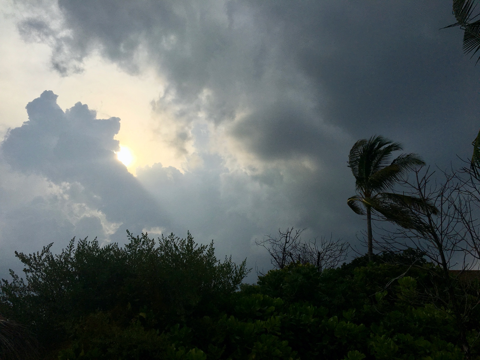 A5246D95 1600 4DD9 BC08 5F4452D34875 1 201 a