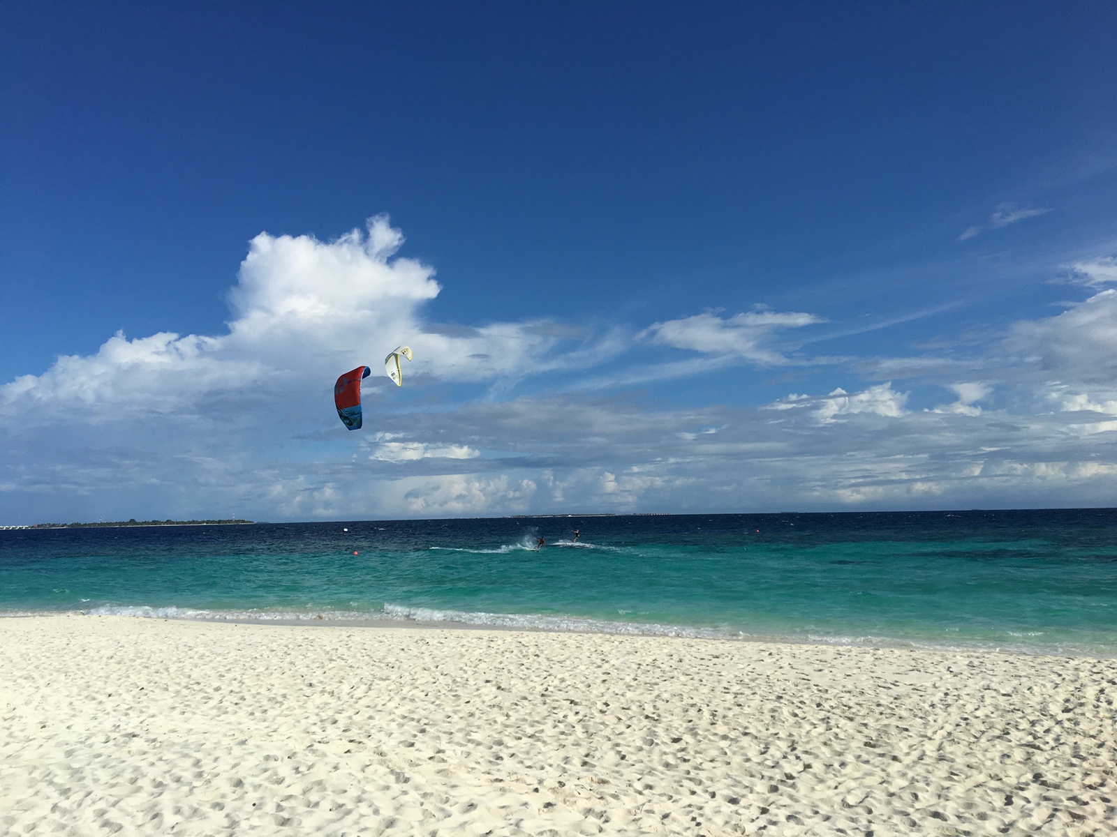 C34093A6 BACB 4C69 A318 19FE3857EC98