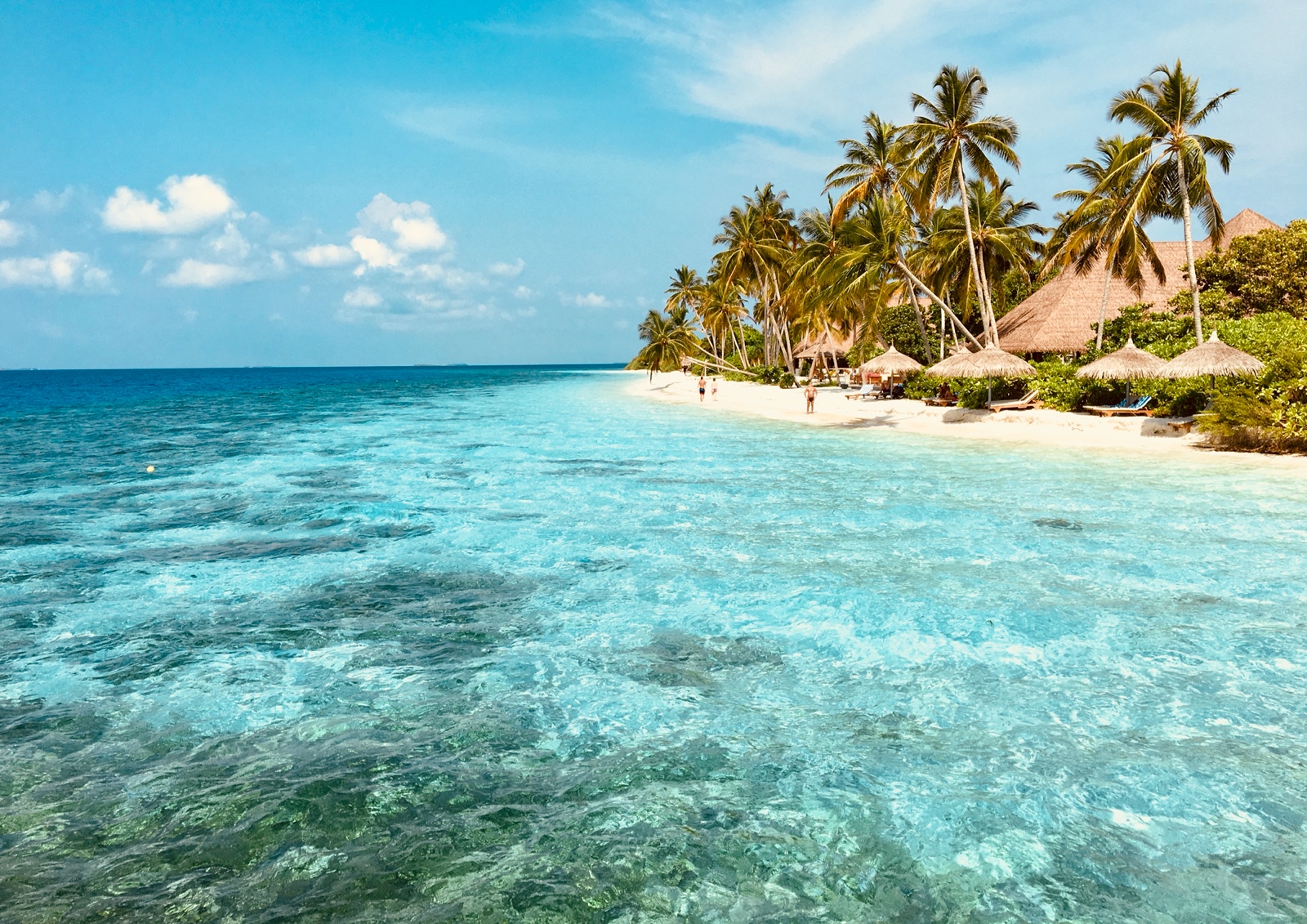 CC684291 7095 4F87 B117 D6E437644722 1 201 a